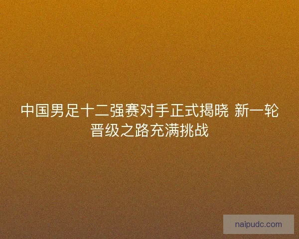 中国男足十二强赛对手正式揭晓 新一轮晋级之路充满挑战